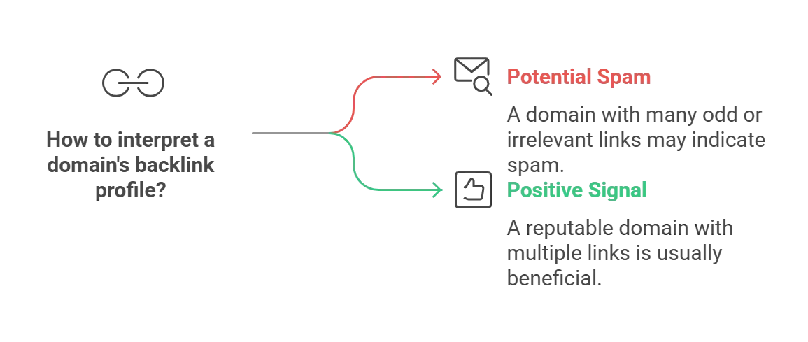 Guide on interpreting a domain's backlink profile with spam indicators and positive signals.