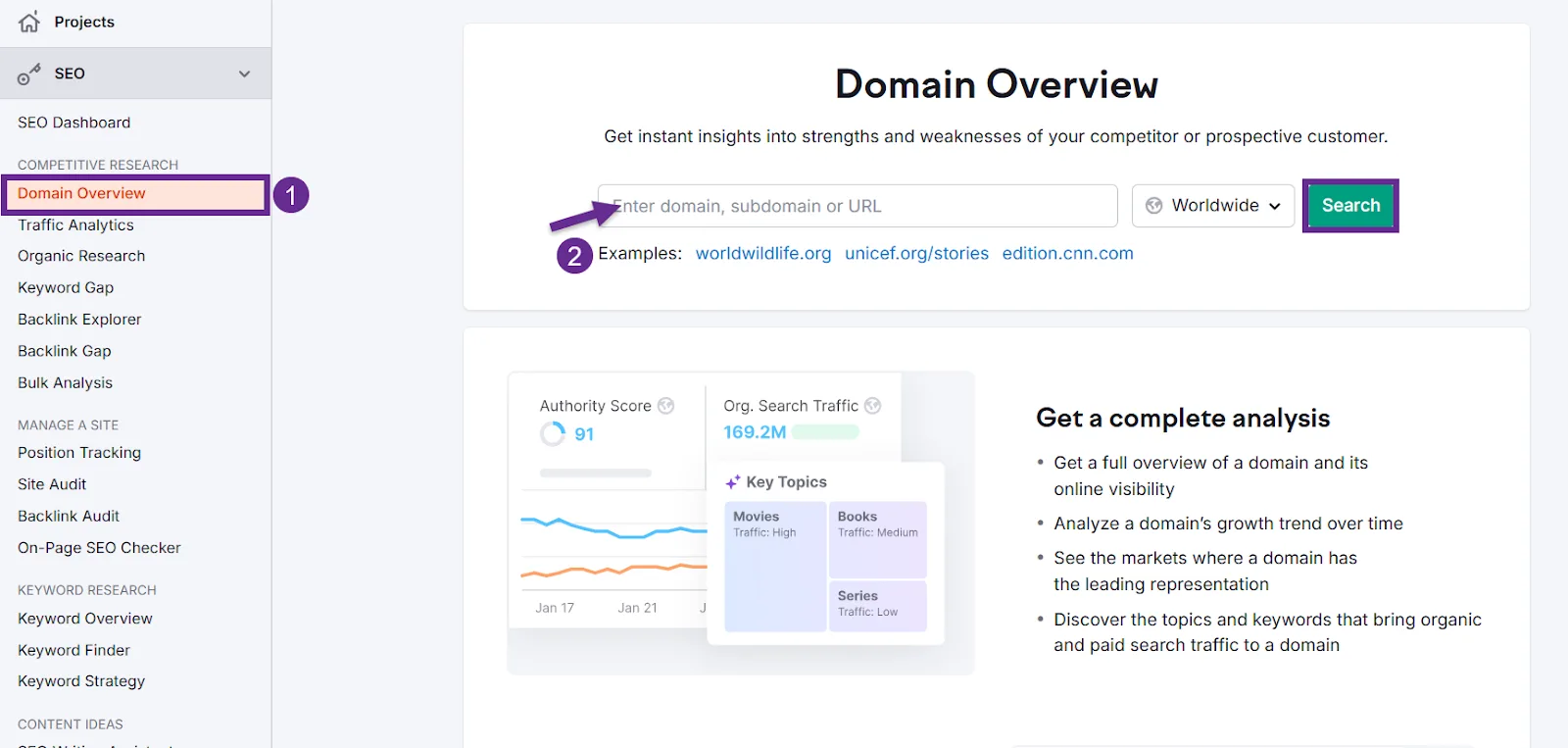SEO tool showing domain overview and traffic analysis features.