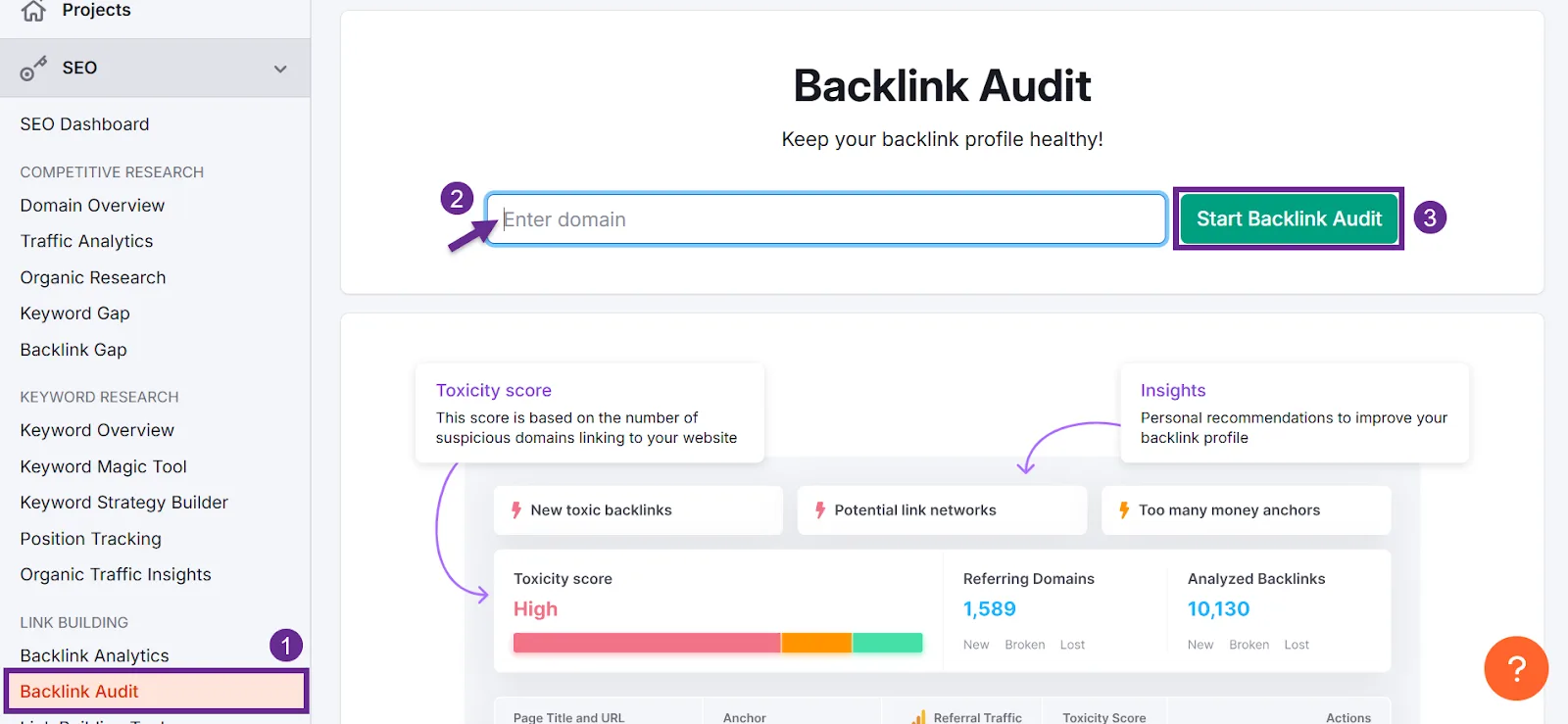 Backlink audit dashboard displaying domain input and toxicity score insights
