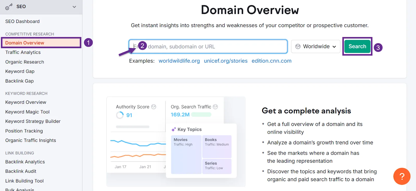 Domain Overview tool for analyzing website traffic and authority scores.