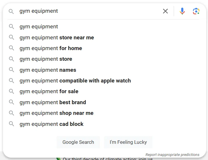 Google search suggestions for gym equipment queries