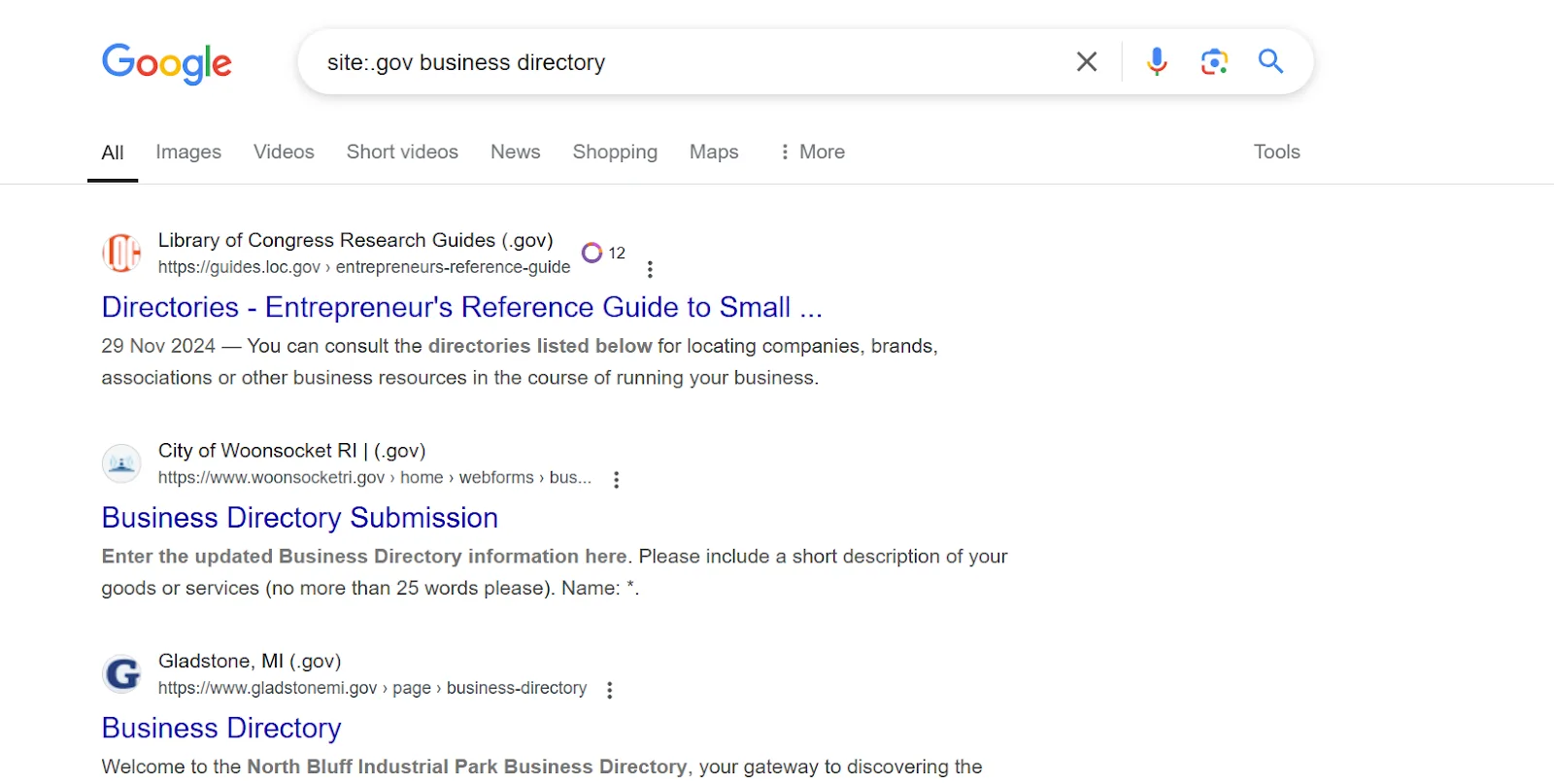 Search results for government business directories on Google.