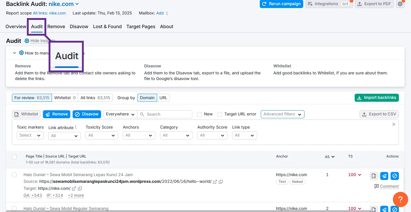 Backlink audit overview for nike.com showcasing audit options and backlink details.
