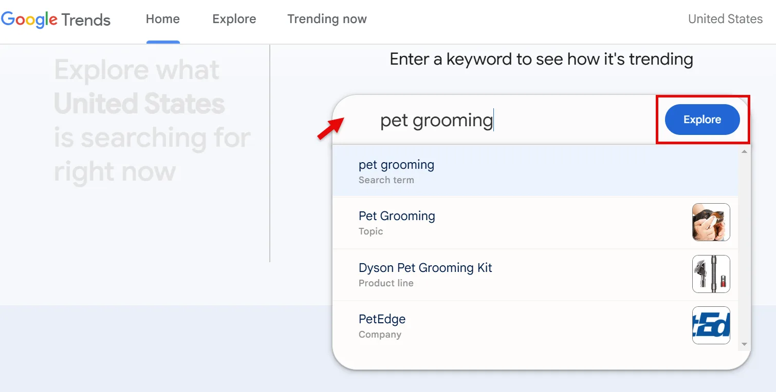 Google Trends search for pet grooming in the United States