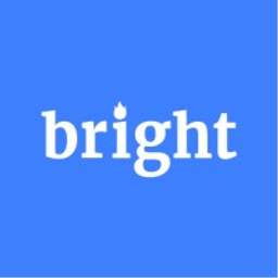 Bright Data SERP API