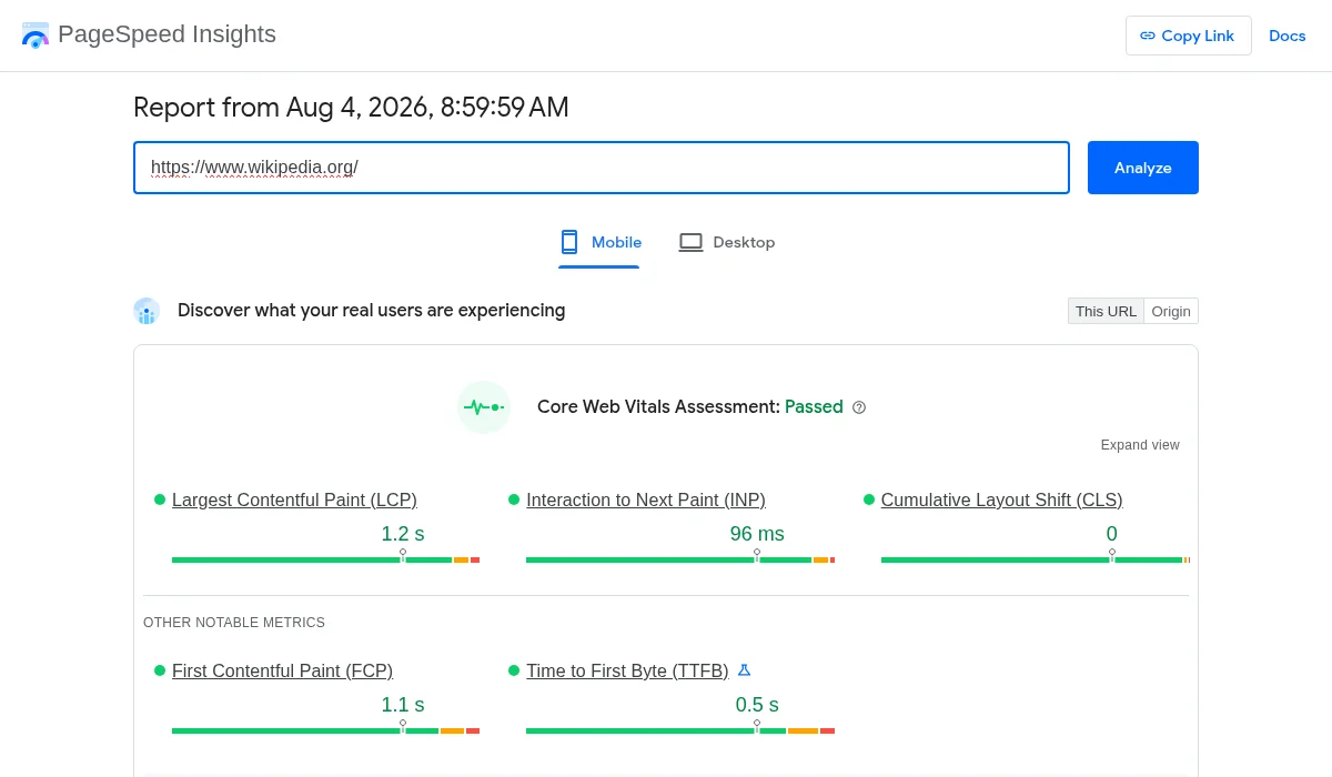 PageSpeed Insights report